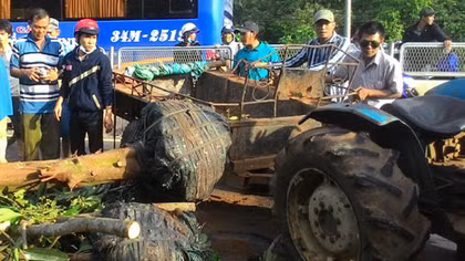 Máy cày bị lật trong lúc đổ đèo, tài xế tử vong