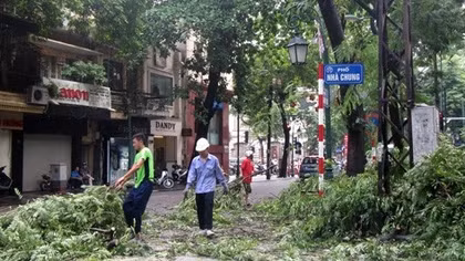 Hà Nội tiếp tục cắt tỉa cây trước mùa mưa bão
