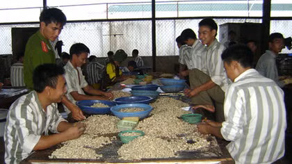 Những người thầy cảm hóa phạm nhân 