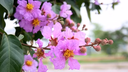 Tự khúc tháng ba