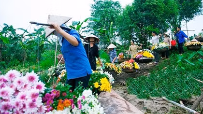 Những gánh hàng hoa vào phố