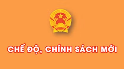 Nhiều chính sách mới có hiệu lực từ tháng 3/2015