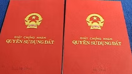 Phục hồi điều tra vụ cấp sổ đỏ trái luật gần 650 ha đất vườn cao su