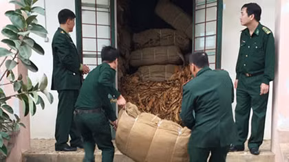 Thu giữ 36 tấn lá thuốc lá nhập lậu