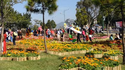 Công bố đường dây nóng Festival Hoa Đà Lạt 2015
