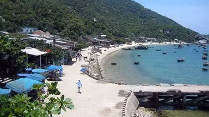 Xây dựng đường ngô đồng đỏ trên đảo Cù Lao Chàm