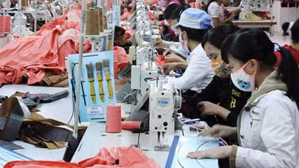 Người đại diện tại doanh nghiệp Nhà nước nắm giữ trên 50% vốn điều lệ