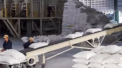 Bắt lãnh đạo Công ty cổ phần Tập đoàn Thịnh Phát Kon Tum