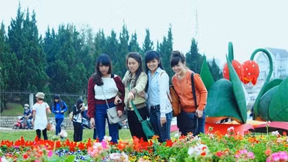 Festival hoa Đà Lạt "ngốn" 40 tỷ đồng