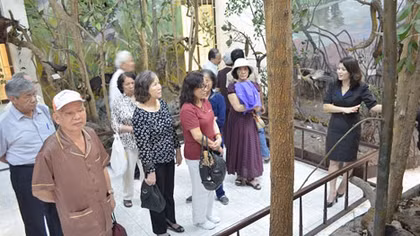 Giảm giá vé tham quan cho người cao tuổi