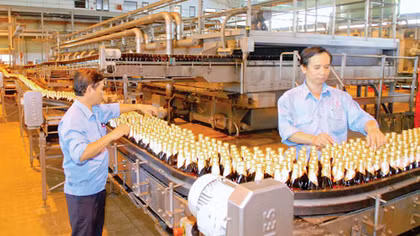 Doanh nghiệp lại kêu trời vì... văn bản