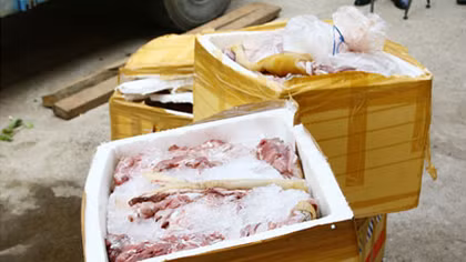Hơn nửa tấn thịt thối chuẩn bị lên bàn nhậu