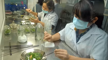 Indonesia công nhận 10 phòng kiểm nghiệm an toàn thực phẩm nông sản xuất khẩu của Việt Nam