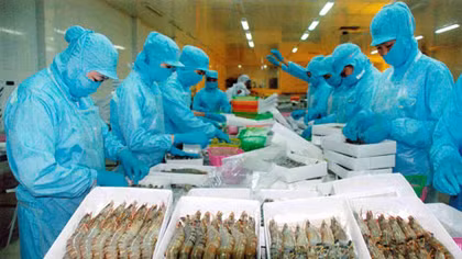 Tăng vọt tình trạng sử dụng kháng sinh bừa bãi