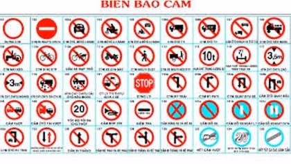 Nhanh, chậm và hạnh phúc