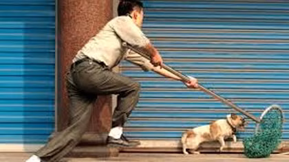 Trộm chó dùng ná và ớt bột chống trả người truy đuổi