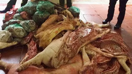Hơn 1 tấn thịt lợn bệnh chuẩn bị bán tại chợ