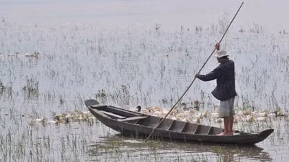 Giải pháp chống hạn, mặn tại ĐBSCL: Nên khôi phục hai túi chứa nước tự nhiên