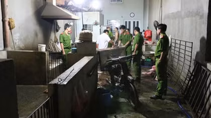Lò giết mổ heo trái phép sử dụng mộc lăn kiểm dịch giả