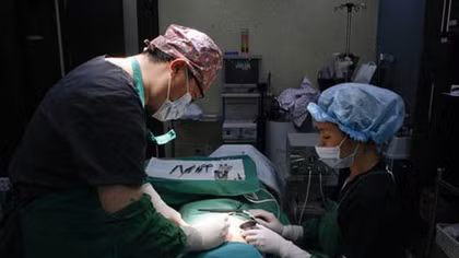 Phẫu thuật thẩm mỹ tạo điều kiện cho... những người muốn đổi đời