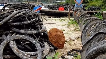 Hồi âm bài báo “Cần có đánh giá khoa học việc nuôi hàu bằng lốp xe cũ”