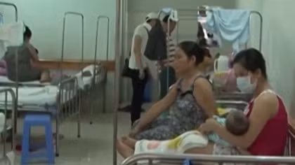 Bệnh sốt xuất huyết và tay chân miệng tăng đột biến