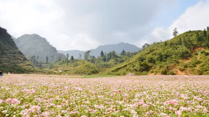 Lý thú tam giác mạch