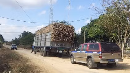 Kiên quyết xử lý xe quá tải ở Tây Nguyên