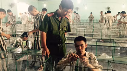 Đếm ngược thời gian mong ngày về