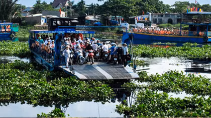 Khốn khổ vì lục bình dày đặc sông rạch