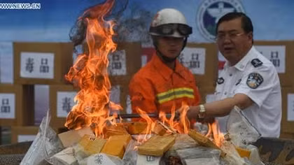 Ma túy gây thiệt hại kinh tế tới 81 tỷ USD/ năm