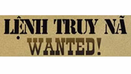 Bắt giữ đối tượng trộm cắp mang 2 lệnh truy nã