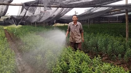 Vượt qua bóng tối lầm lỗi, trở thành triệu phú 
