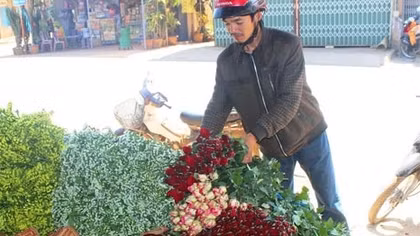 Hoa tăng giá, nhà vườn Đà Lạt trắng đêm gác trộm