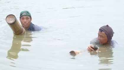 Đời lặn sông