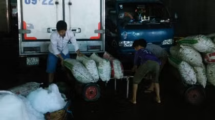  Bài 1: Mưu sinh sau 0 giờ