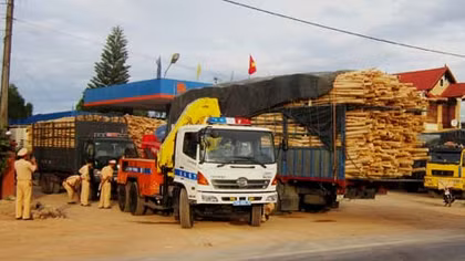 Xe chở gỗ tràm quá tải hoành hành trên quốc lộ 1A