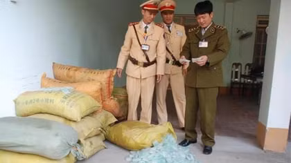 Vận chuyển gần 258 nghìn ống thuốc kích thích tăng trưởng