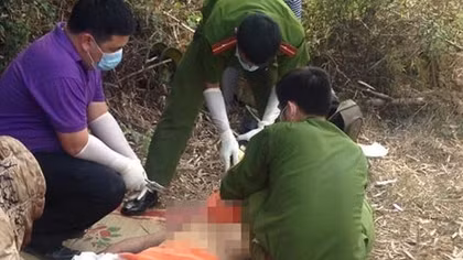 Phát hiện thi thể phụ nữ trong búi tre ven đường