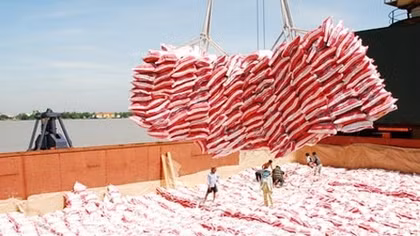 Xuất khẩu gạo 2015 sẽ chịu cạnh tranh khốc liệt