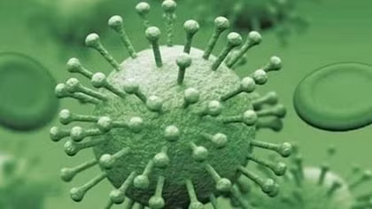 Trường hợp nhiễm cúm A(H9N2) trên người đầu tiên tại Ai Cập