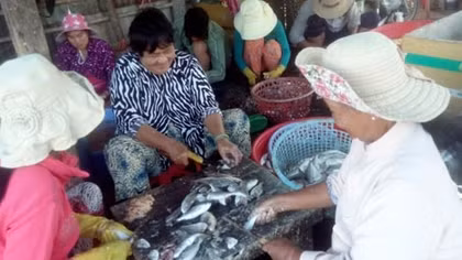 Những ‘thân cò’ lặn lội biển đêm