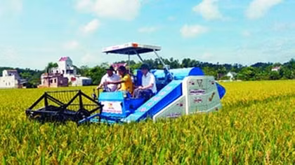 Đẩy nhanh các chương trình khoa học công nghệ ở Tây Nam Bộ 
