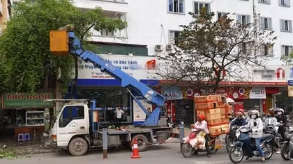 Vụ ‘chặt cây’: Tạm đình chỉ công tác 3 cán bộ Sở Xây dựng