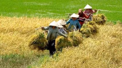 Tái cơ cấu - Bước đi tất yếu của ngành Nông nghiệp