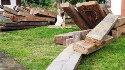 Đề xuất xử phạt chủ gỗ lậu từ 30 – 50 triệu đồng 