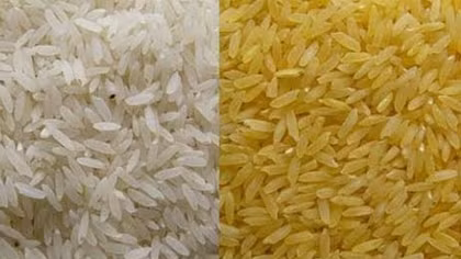 Chưa phát hiện “gạo giả” trên thị trường Việt Nam