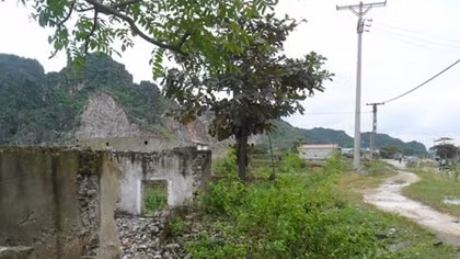 Ngày mới trên vùng đất chết