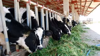 Ngân hàng Thế giới tài trợ thêm 45 triệu USD cho Việt Nam