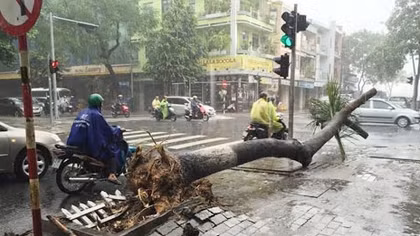 Đường ngập, cây đổ trước khi bão vào